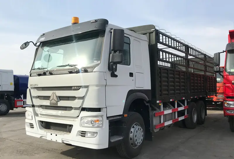 Sinotruk HOWO 371HP Cargo Truck