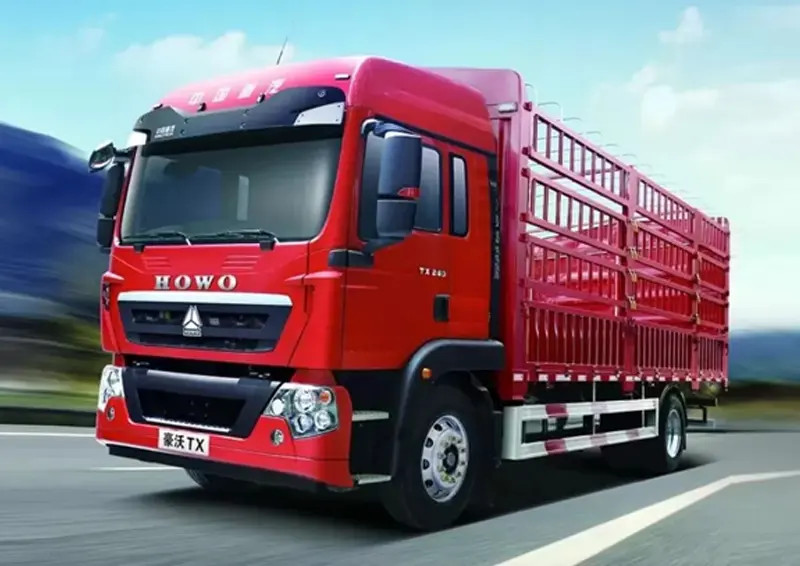 Sinotruk Howo TX 4x2 Cargo Truck - ZZ5187XXYN711GF1