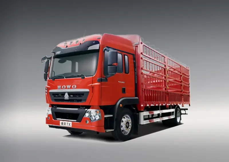 Sinotruk HOWO TX 270 4x2 Cargo Truck